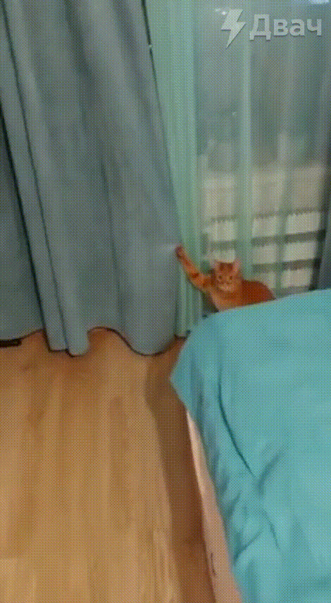 Привет из 2010