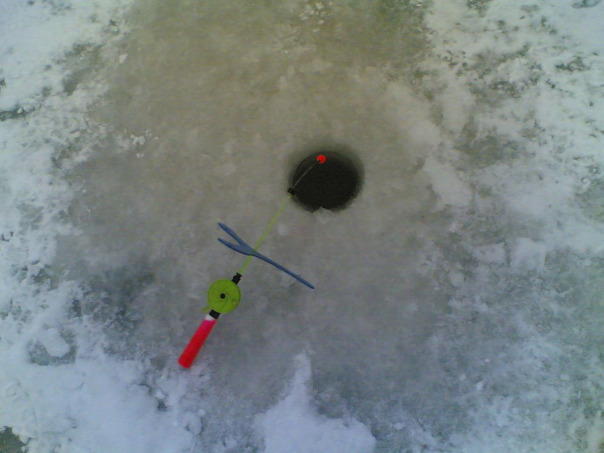 Фотографии со стены