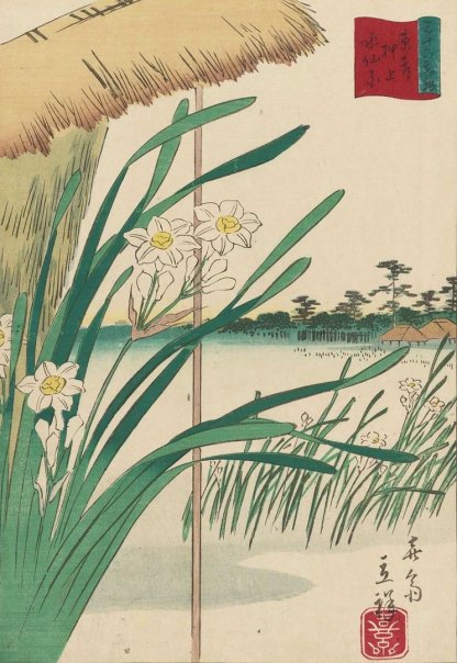 Немного о нарциссах 🌱

Нарциссы 水仙...