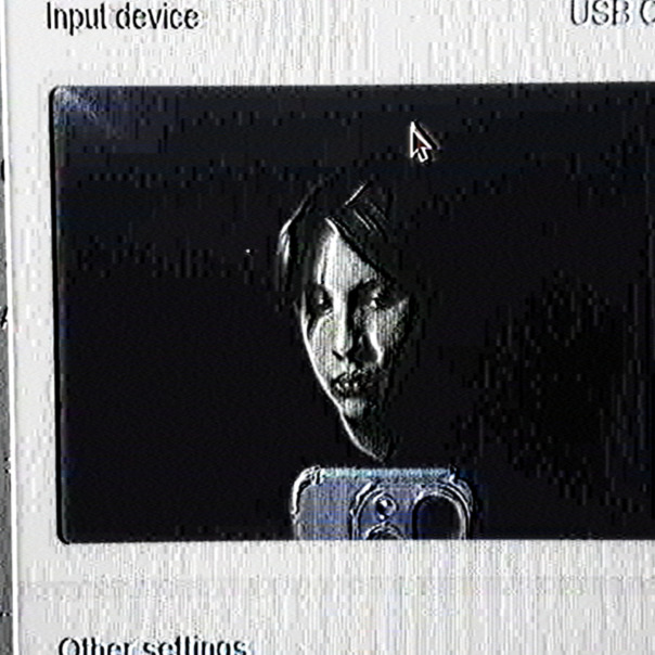 Никита Соковых