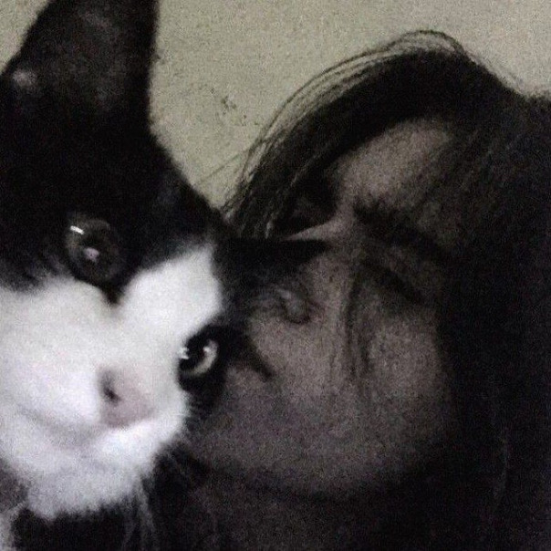 Доминик Фальковский