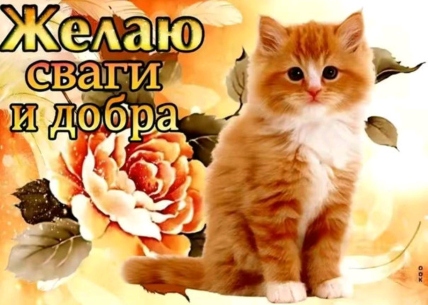 Фотографии со стены