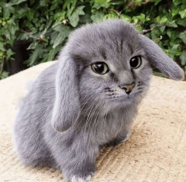 Фотографии со стены