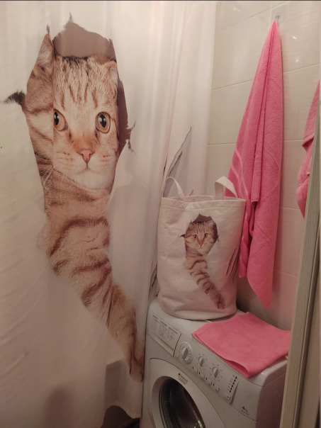 Фотографии со стены