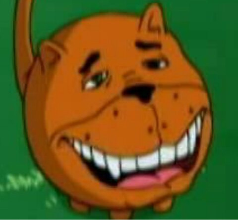 Чеслав Блютусов