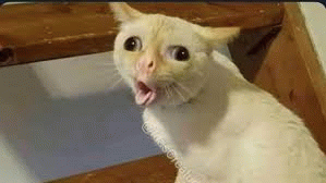 Фотоальбом