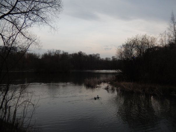 Фотографии со стены