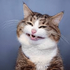 Саня Грибков