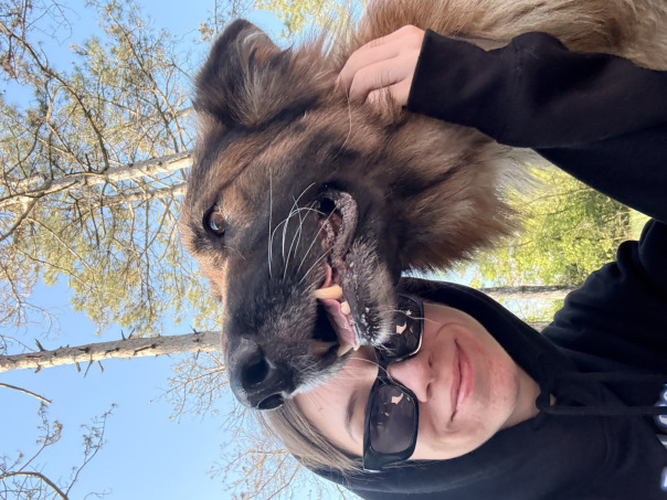 Дарья Лементовская