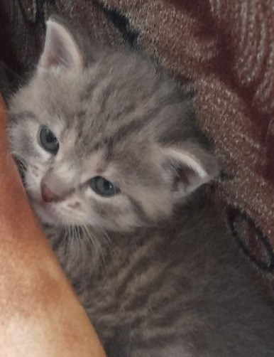 Фотографии со страницы