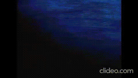 АНИМЕ Вы арестованы 1 сезон 1 серия 