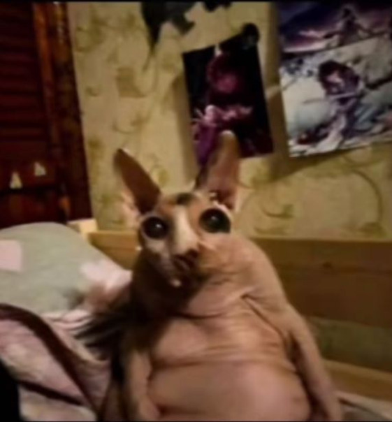 Мирослав Тышко