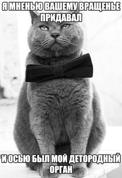 Ян Нахтигаль