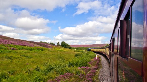 Природа может быть очень интересной,...