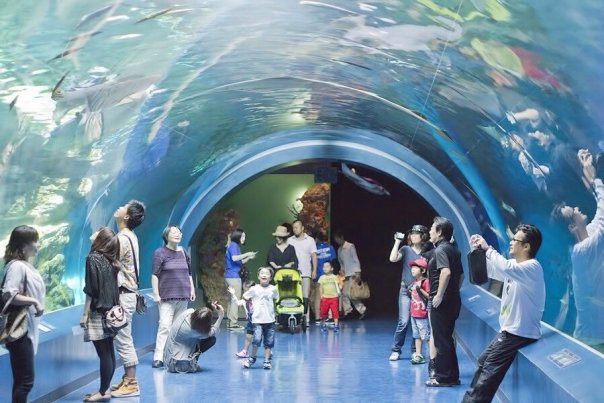 Токийский аквариум.

Аквариум, кот...