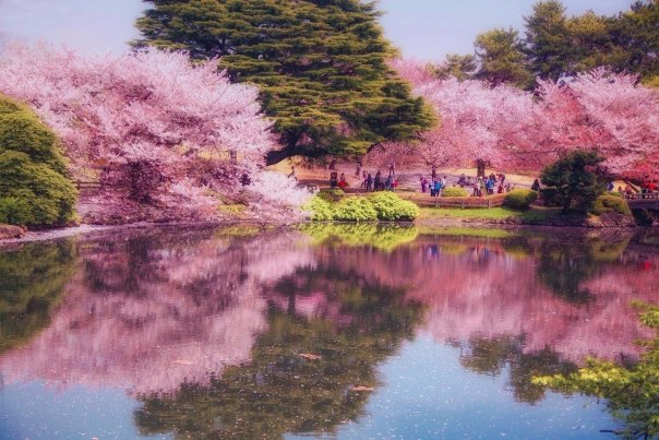 Токио, Япония....