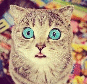 Вячеслав Пахомов