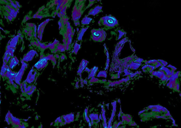 Фотографии со стены