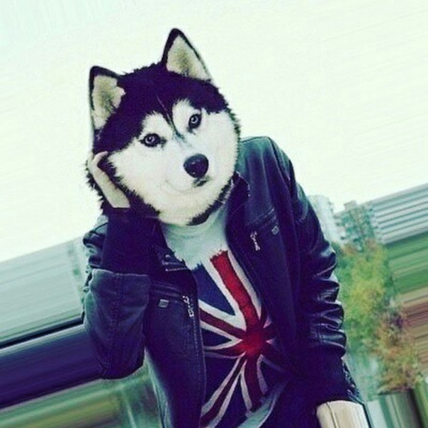 Фотографии со стены