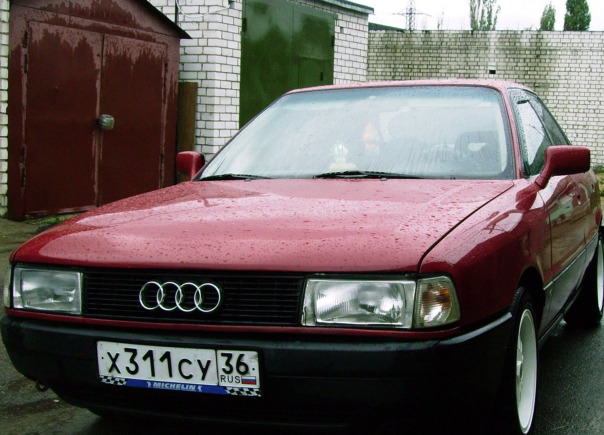 Никита Шерстобитов