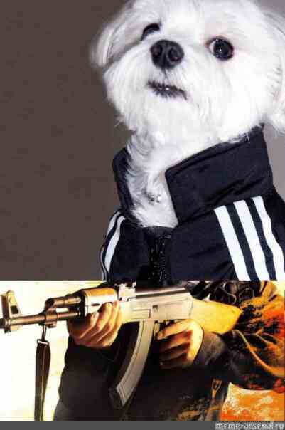 Даниил Прямолинейный