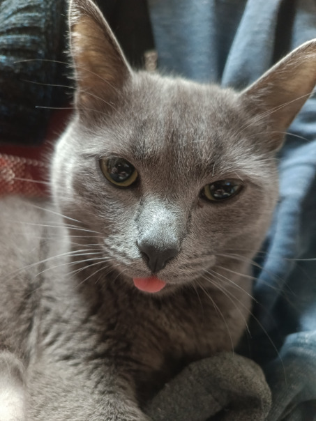 Саид Башаров