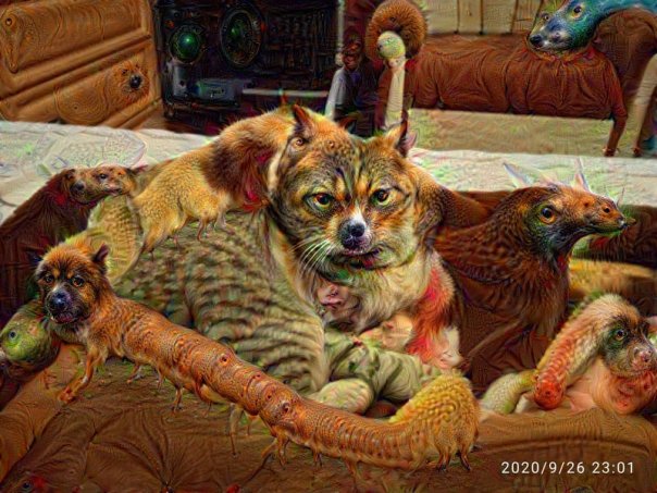 Фотографии со страницы