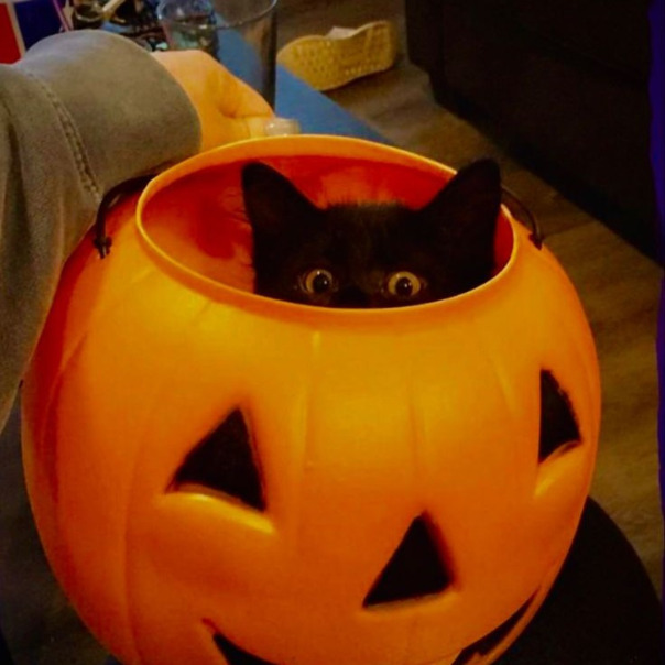 Никита Демитреско