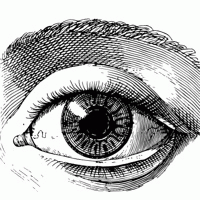 label:OGE

https://soundcloud.com/...