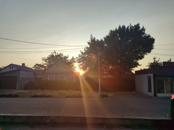 Алексей Шпинатов