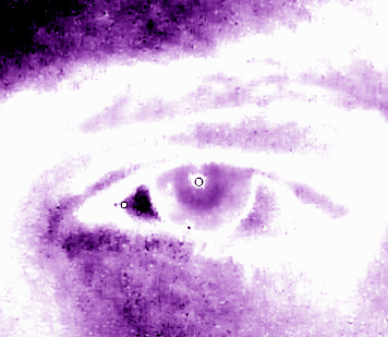 Яков Пинигин