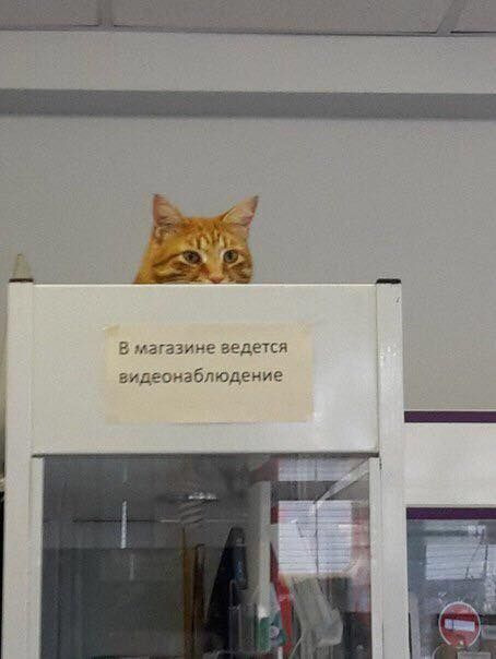 Роман Козловский