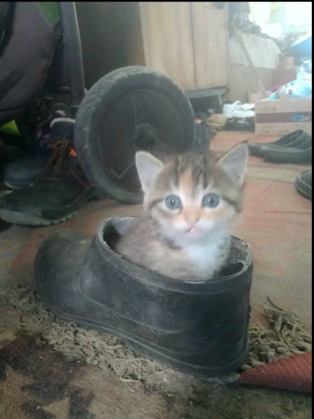 Фотографии со стены