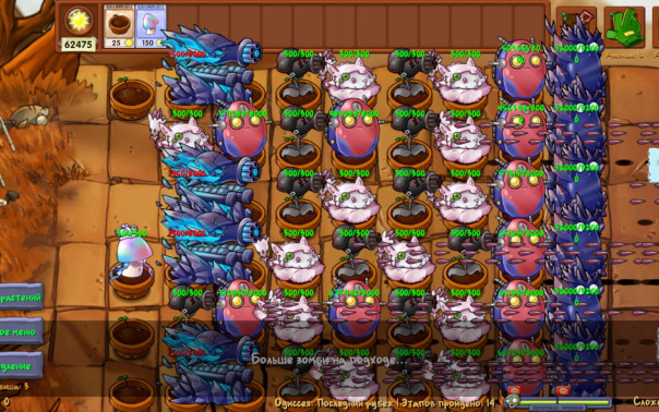 Фотографии со стены