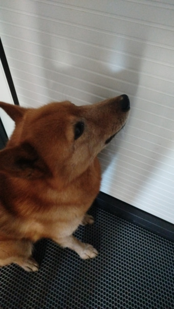 Фотографии со страницы