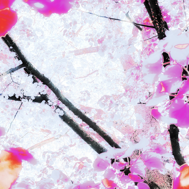 Profile backdrop (system)...