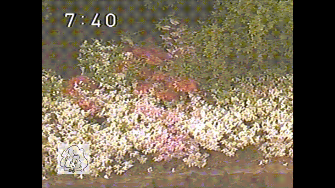 Yukiko Okada - First Date