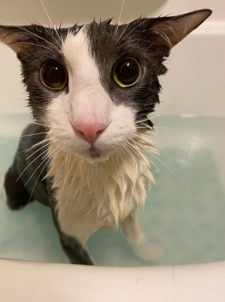 Дрель Шуруповерт