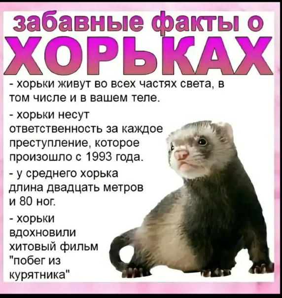 Фотографии со стены