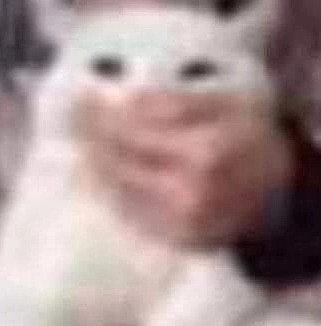 Влад Кошкин