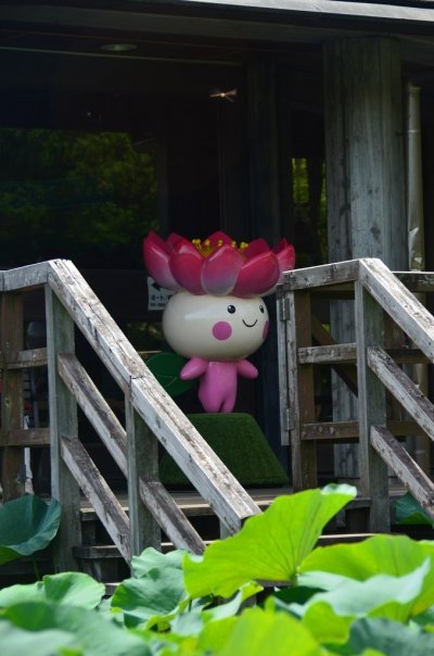 В Японии лотос (蓮の花) считается свяще...