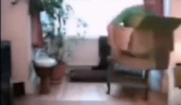 Мужик летающий в коробке