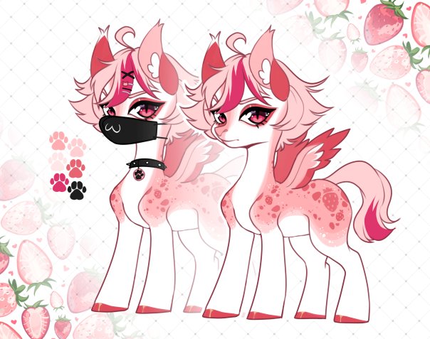 Мои персы (Пони)