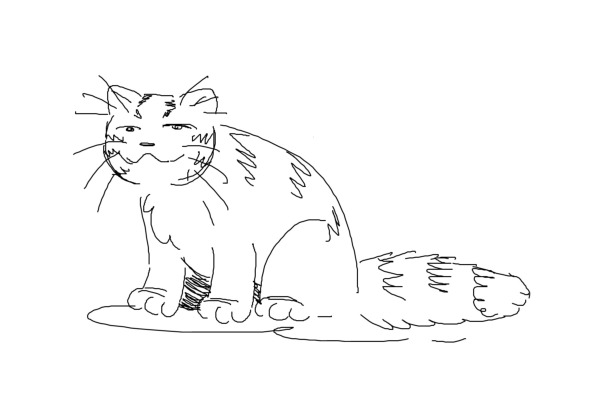 Все коты из паинта