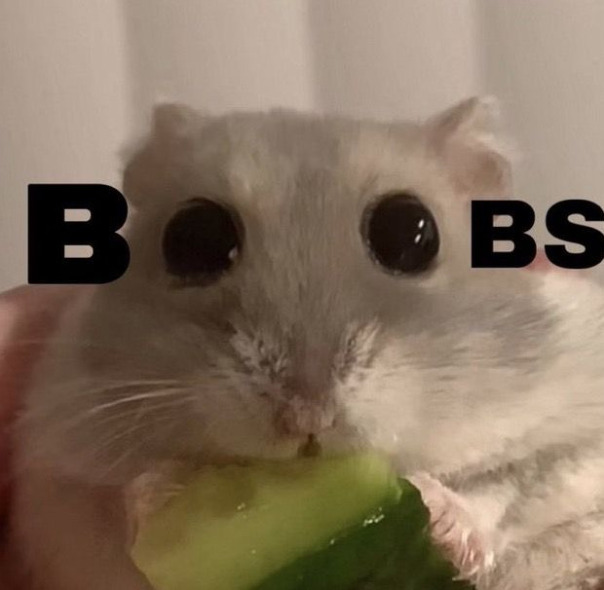 Денис Лучкин