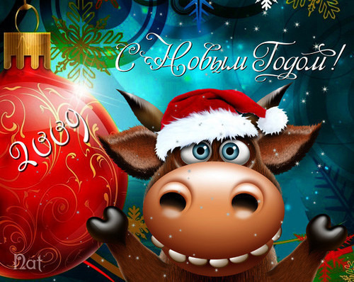 Фотографии со стены