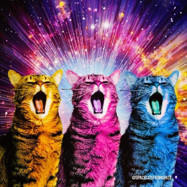 Фотографии со страницы