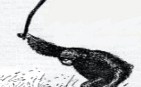 Слава Лучевский