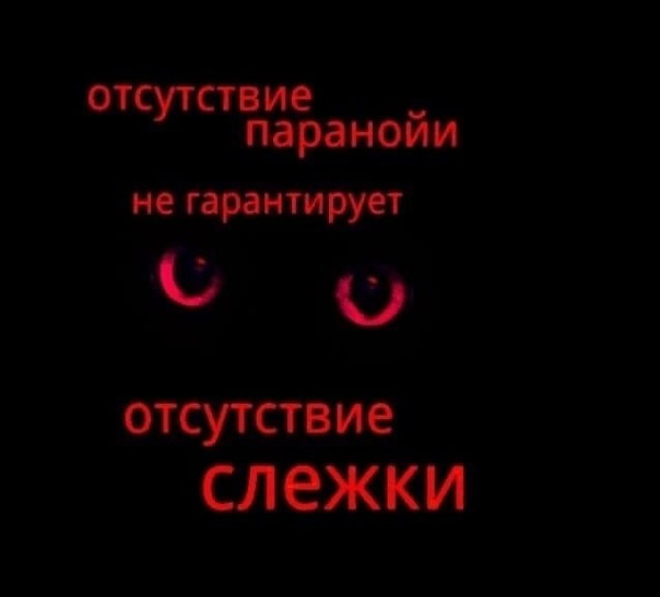 Альберт Попович