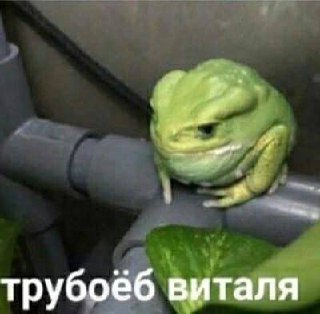 рельсы, рельсы,
шпалы, шпалы,
едет...